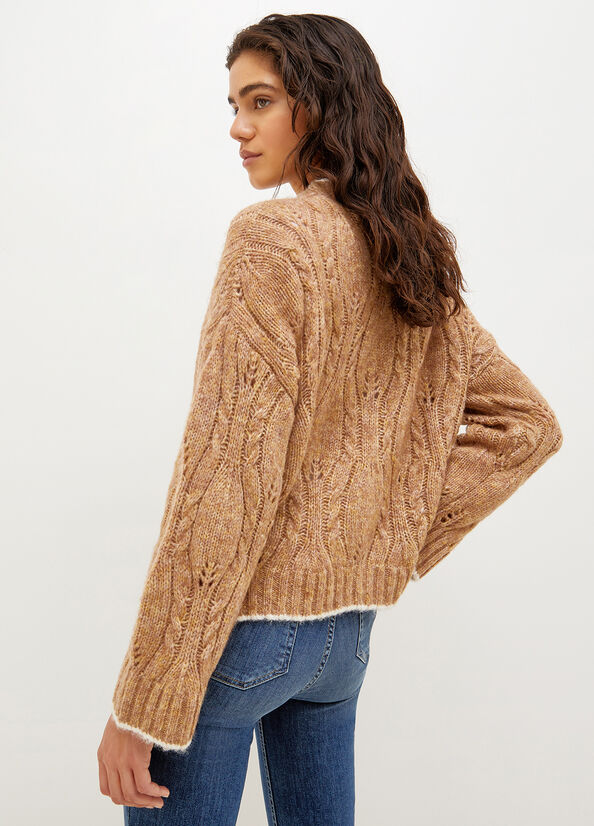 Brown Women's Liu Jo Wool And Alpaca Cardigan Sweaters | LIQ-048537